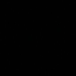 Meet your Posher, Deanna